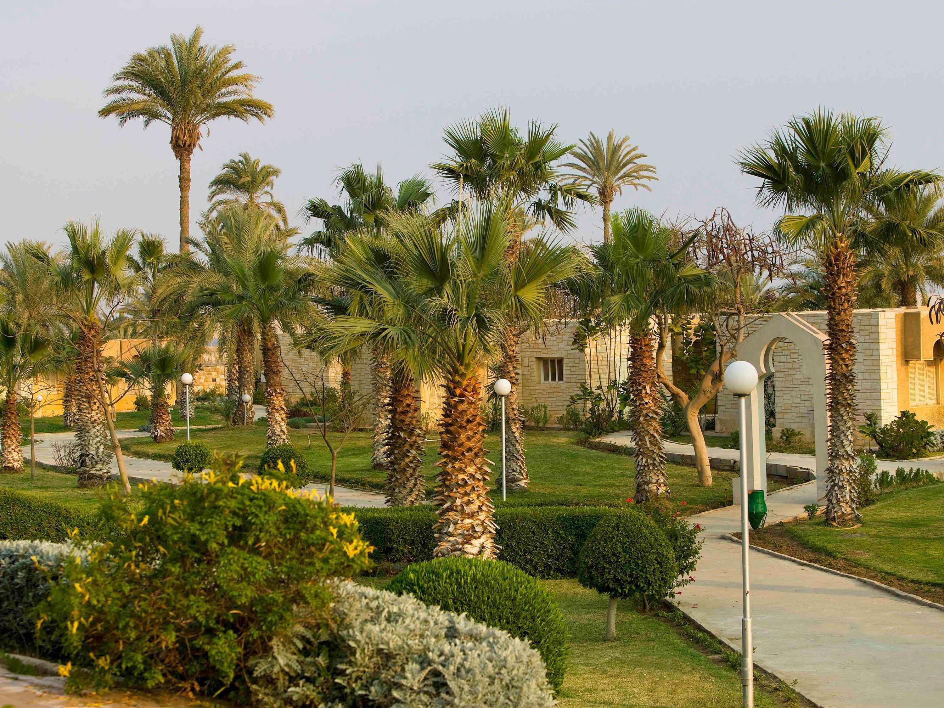 Mercure Ismailia Forsan Island Extérieur photo
