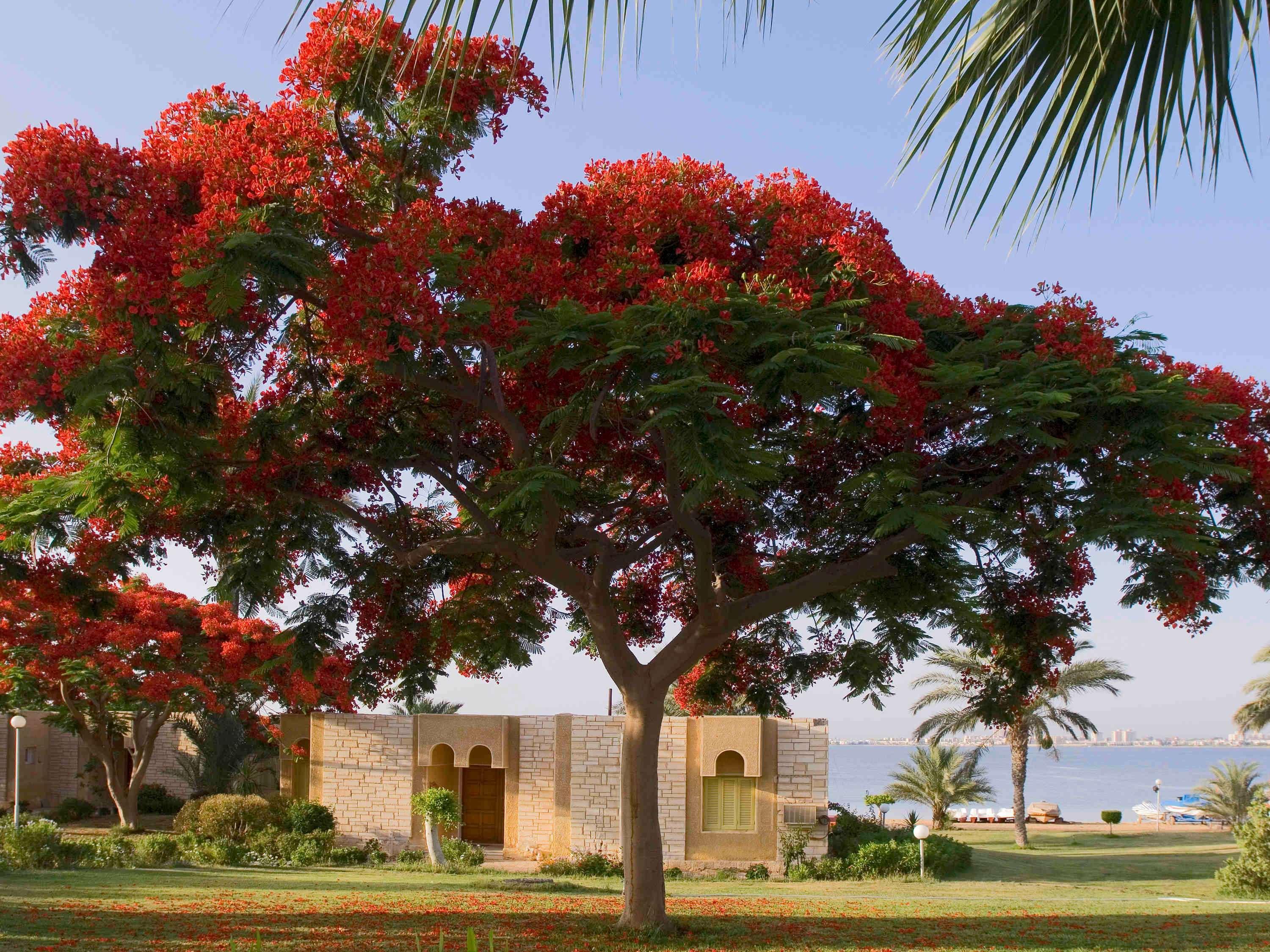 Mercure Ismailia Forsan Island Extérieur photo